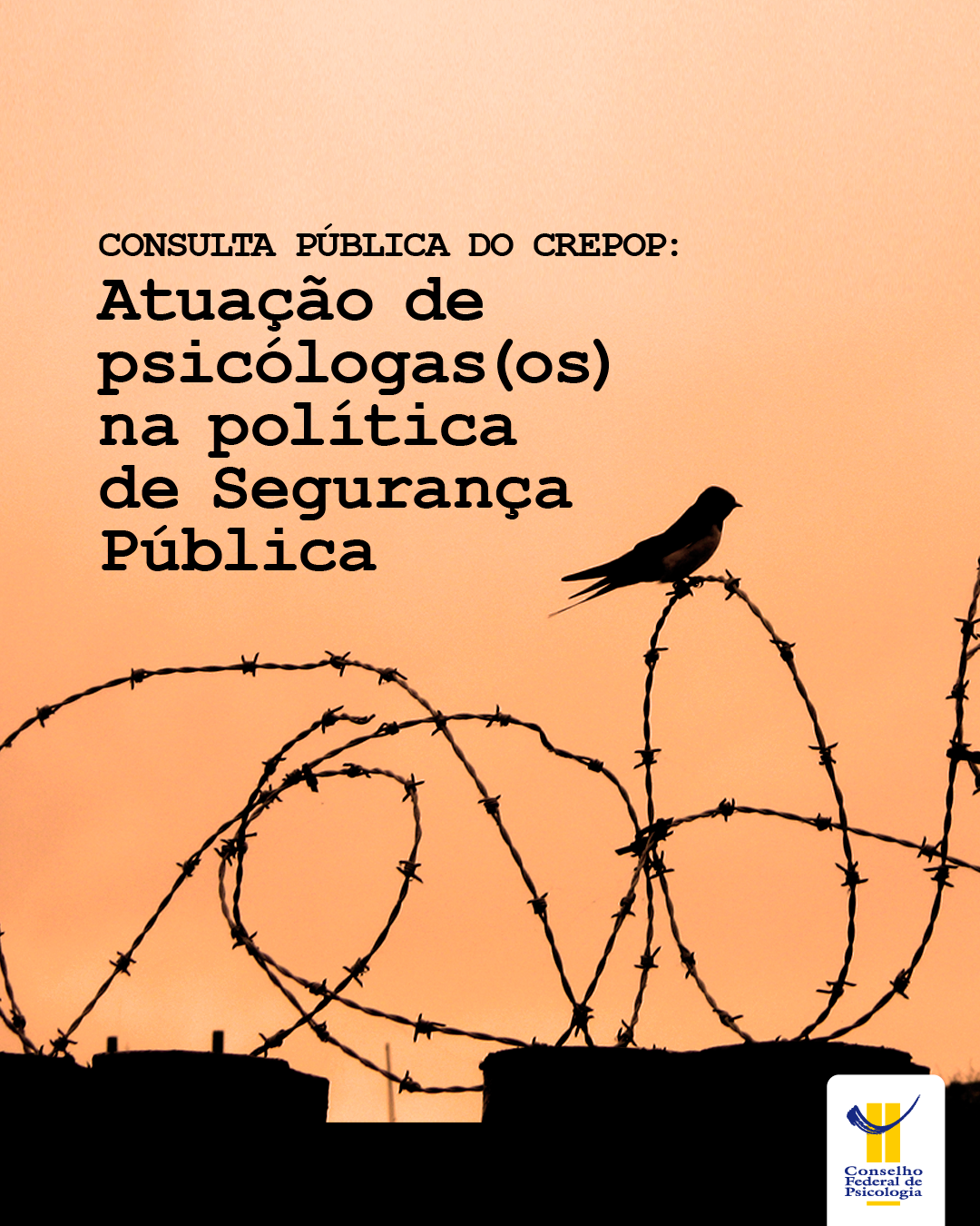 consulta-publica-do-crepop-referencias-tecnicas-para-atuacao-de-psicologasos-na-politica-de-seguranca-publica