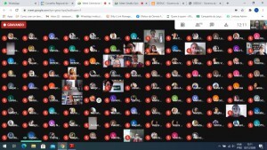 crp-rj-realiza-novas-cerimonias-online-de-orientacao-para-exercicio-profissional-em-dezembro